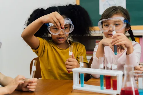 stem-meaning-in-education-teachervision